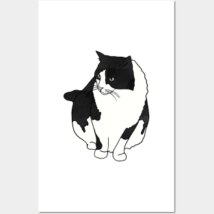 Black and White Cat Posters and Art